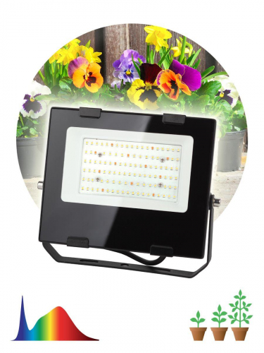 Прожектор светодиодный для растений ЭРА Fito-50W-Ra90-Led Б0047875 в г. Санкт-Петербург  фото 3