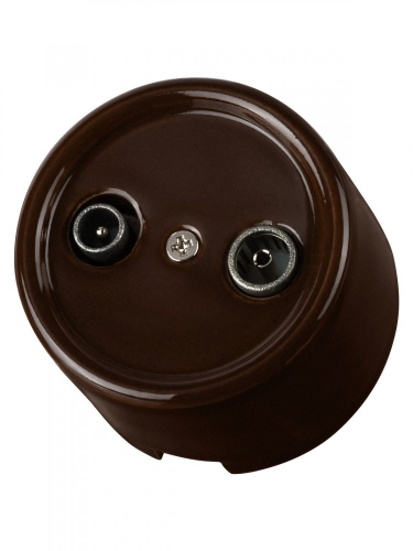 SQ1820-0455 Розетка TV+R оконечная коричневая «Болонь» TDM