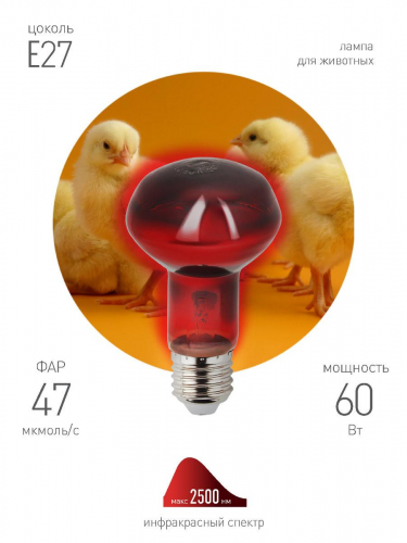Лампа инфракрасная ЭРА E27 60 Вт для обогрева животных и освещения ИКЗК 230-60 Вт R63 Е27 Б0057281 в г. Санкт-Петербург  фото 4