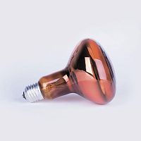 8105041 Лампа-термоизлучатель ИКЗК 230-60Вт R63 E27 (50) КЭЛЗ 