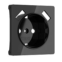 W1179548 Накладка для розетки USB (черный акрил) 