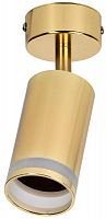Светильник 4006 настенно-потолочный под лампу GU10 золото IEK LT-USB0-4006-GU10-1-K22 в г. Санкт-Петербург 