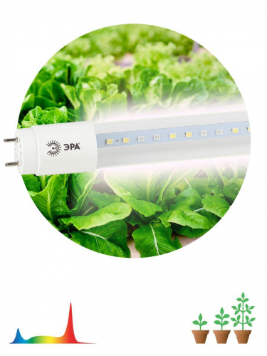 Лампа светодиодная для растений ЭРА G13 18W 1200K прозрачная Fito-18W-Ra90-Т8-G13-NL Б0042987 в г. Санкт-Петербург  фото 2