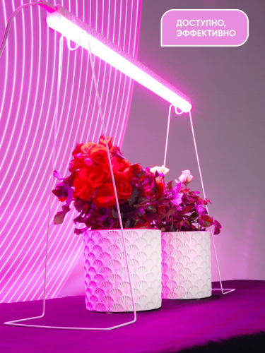 Светодиодный светильник для растений спектр фотосинтез (красно-синий) 12W, пластик, IP40, AL7000 29000 в г. Санкт-Петербург  фото 6