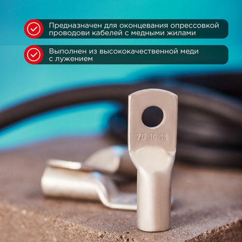 07-5325 Наконечник ТМЛ 70-10-13 Rexant  фото 2