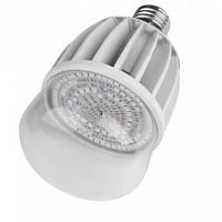 Лампа светодиодная для растений Uniel E27 20W 650K прозрачная LED-M80-20W/SP/E27/CL 11098 в г. Санкт-Петербург 