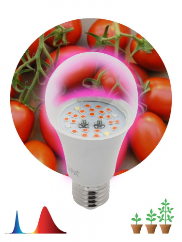 Лампа светодиодная для растений ЭРА E27 10W 1310K прозрачная Fito-10W-RB-E27 Б0050600 в г. Санкт-Петербург  фото 2