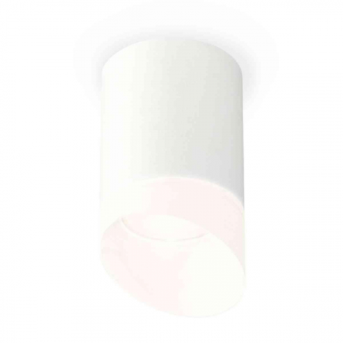 Комплект накладного светильника Ambrella light Techno Spot XS7421026 SWH/FR белый песок/белый матовый (C7421, N7175) в г. Санкт-Петербург 